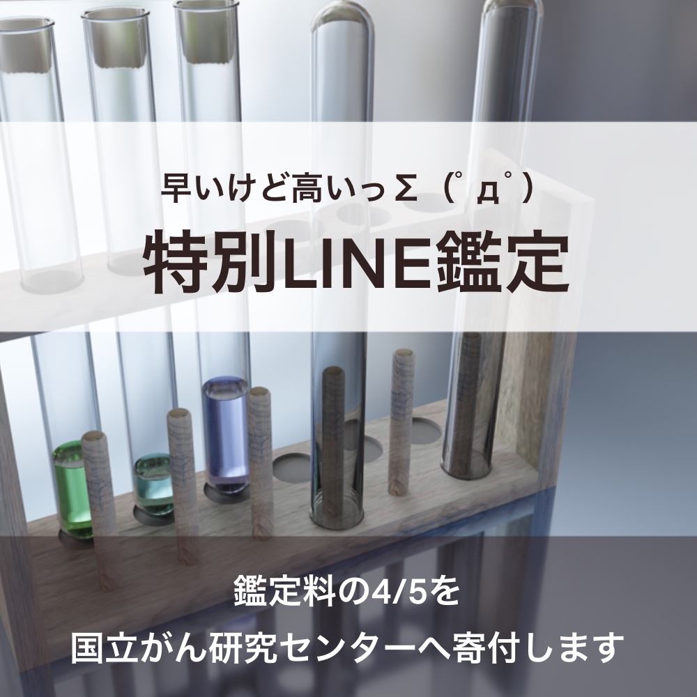 f:id:bakenekolabo:20210911122112j:plain