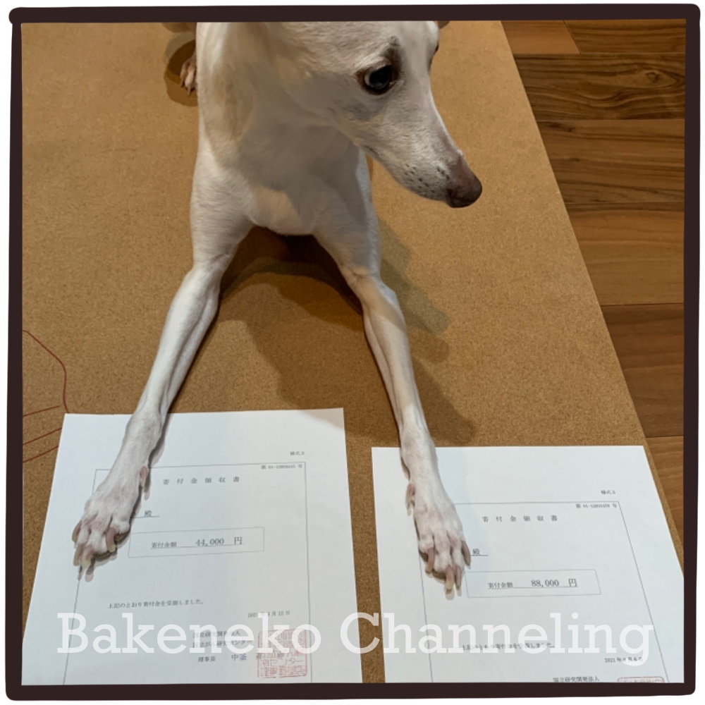 f:id:bakenekolabo:20211226180637j:plain