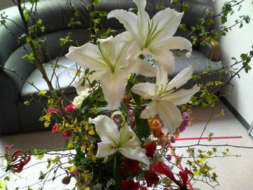 f:id:bakenshikabuya:20080419223530j:image:right