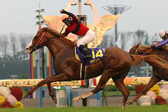 f:id:bakenshikabuya:20081026215710j:image:right,w200