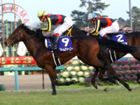 f:id:bakenshikabuya:20091227230640j:image:right f:id:bakenshikabuya:20091227230640j:image:right