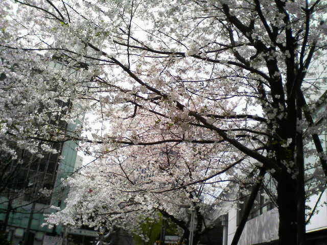 f:id:bakenshikabuya:20110410204118j:image