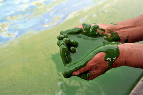 f:id:bakenshikabuya:20111213075010j:image