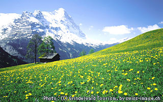 f:id:bakenshikabuya:20120322110204j:image