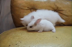 f:id:bakenshikabuya:20120327101302g:image