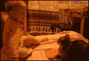 f:id:bakenshikabuya:20131016165651g:image