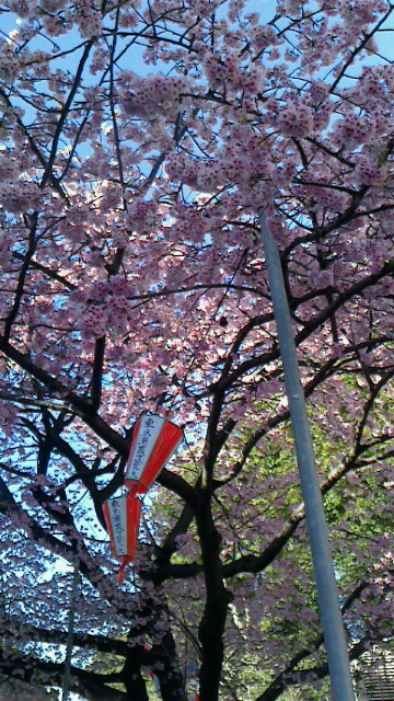 f:id:bakenshikabuya:20140321155400j:image