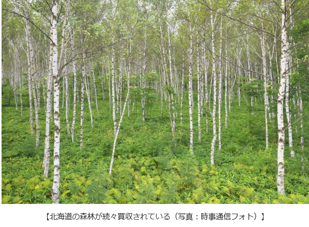 f:id:bakenshikabuya:20170531202250p:image