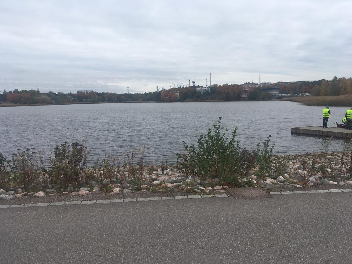 f:id:bakibakibackey:20191015164627j:plain f:id:bakibakibackey:20191015164627j:plain