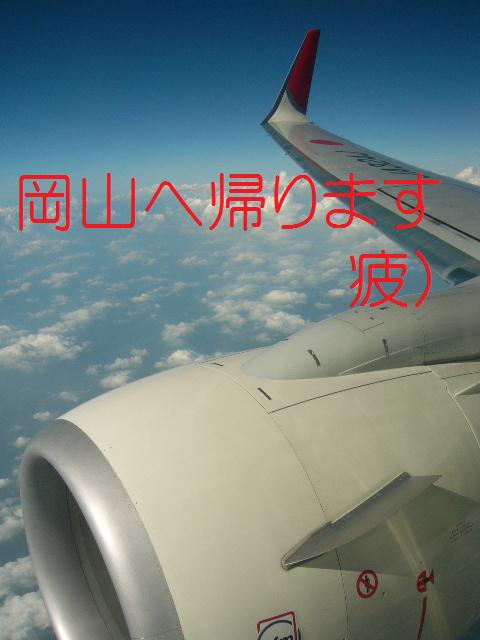 イメージ 9