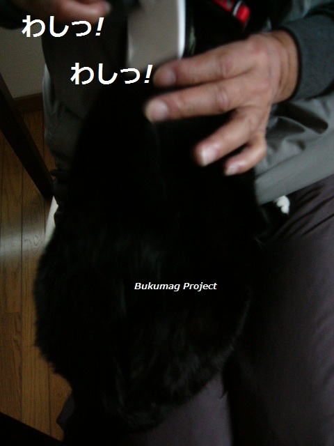 イメージ 4