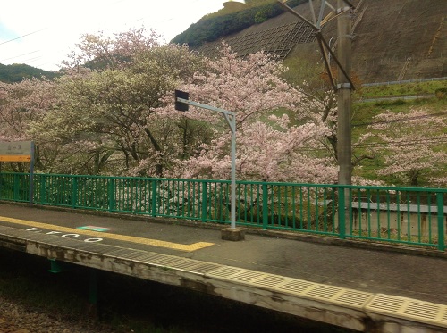 イメージ 2