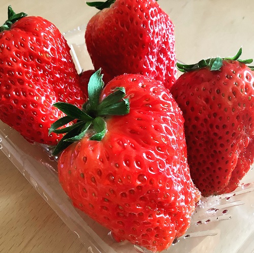f:id:baking_week:20210215075426j:plain