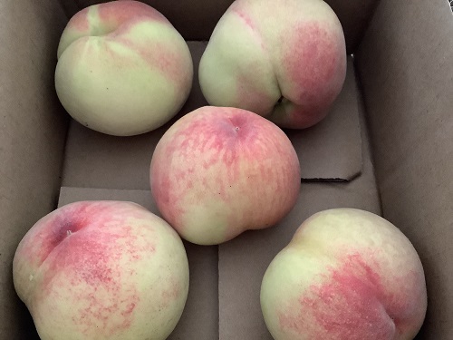 f:id:baking_week:20210618062442j:plain