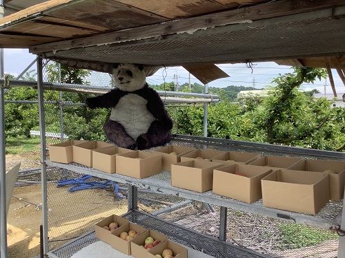 f:id:baking_week:20210618062447j:plain