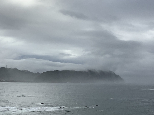 f:id:baking_week:20210704060714j:plain