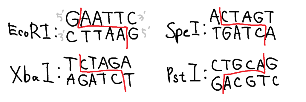 f:id:baklajan:20161108144834p:plain