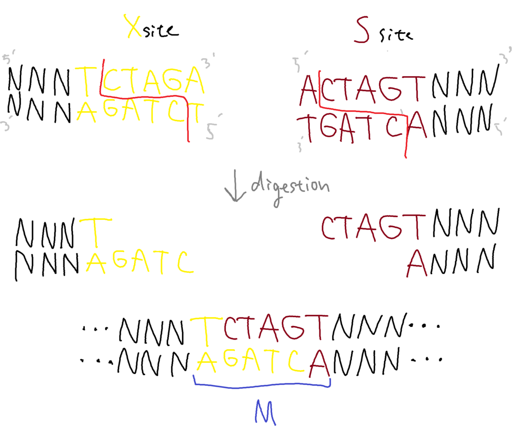 f:id:baklajan:20161108160740p:plain