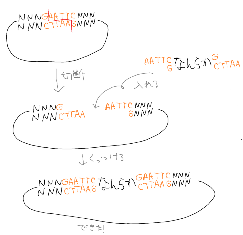 f:id:baklajan:20161109213226p:plain