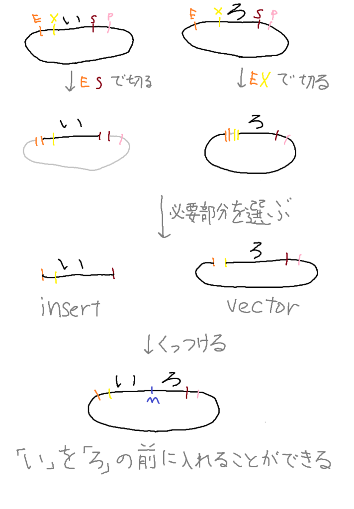 f:id:baklajan:20161110114410p:plain