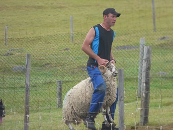 f:id:baklajan:20170129163743j:plain