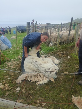 f:id:baklajan:20170129163751j:plain