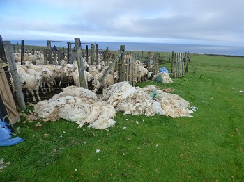 f:id:baklajan:20170129163757j:plain