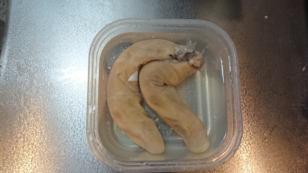 f:id:baklajan:20180118195554j:image:h200 f:id:baklajan:20180118195554j:image:h200
