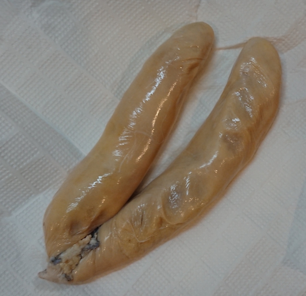 f:id:baklajan:20180118202914j:image:h200 f:id:baklajan:20180118202914j:image:h200