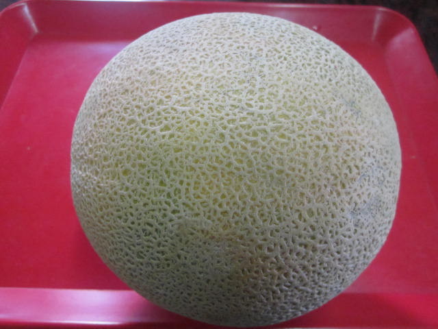 f:id:bakuchan:20120908044420j:image:w360:left f:id:bakuchan:20120908044420j:image:w360:left
