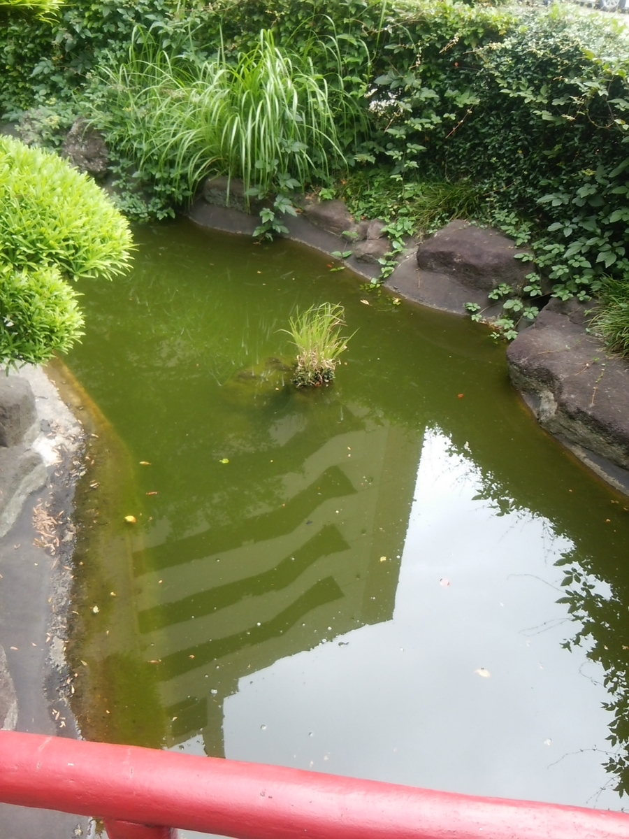 f:id:bakuhatujinnsei:20190708172928j:plain