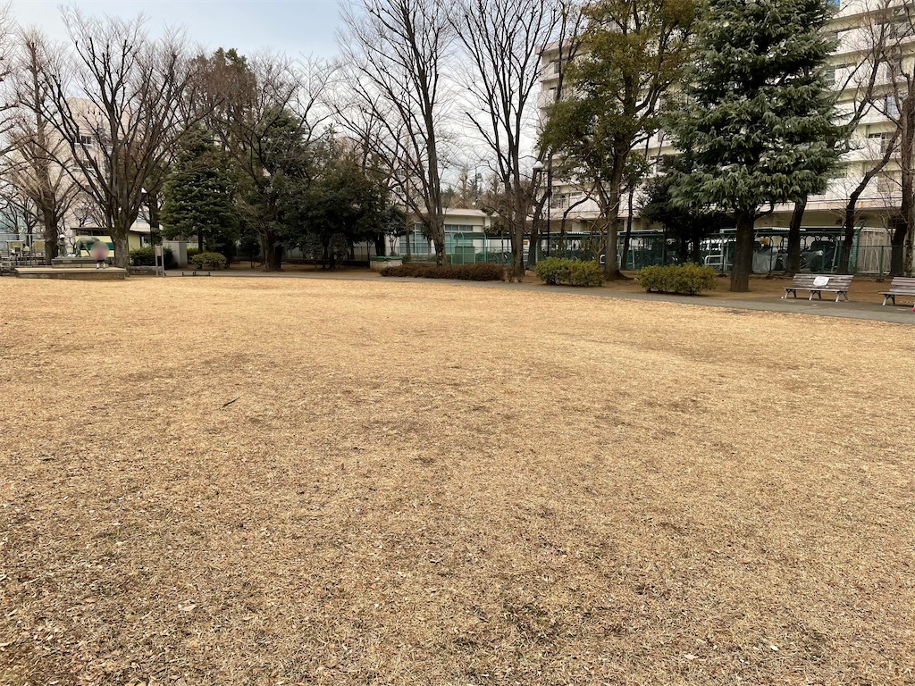 f:id:bakusou009:20210205203730j:plain