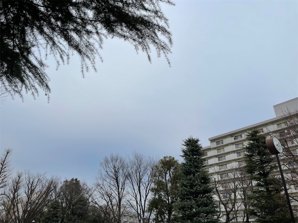 f:id:bakusou009:20210205204120j:plain