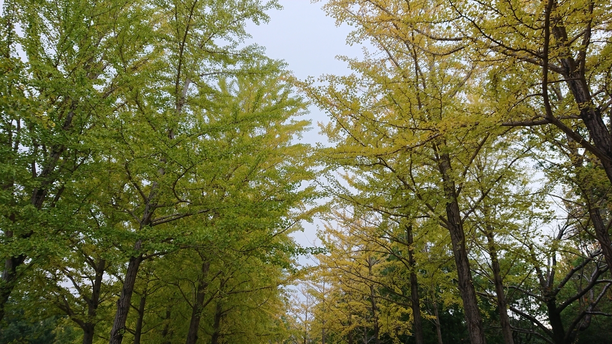 f:id:balage:20201109152320j:plain