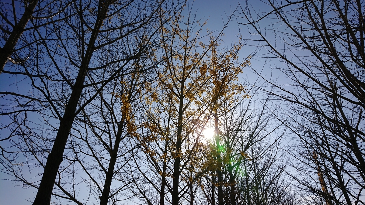 f:id:balage:20201127095620j:plain