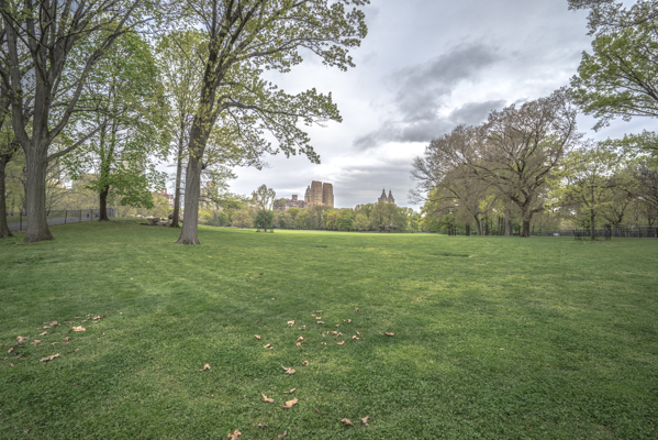 20160430-DSC05247.jpg