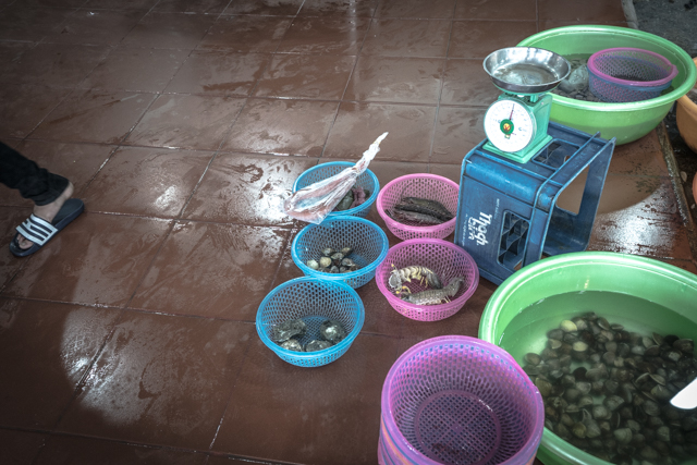 f:id:balance23:20181003140218j:plain f:id:balance23:20181003140218j:plain