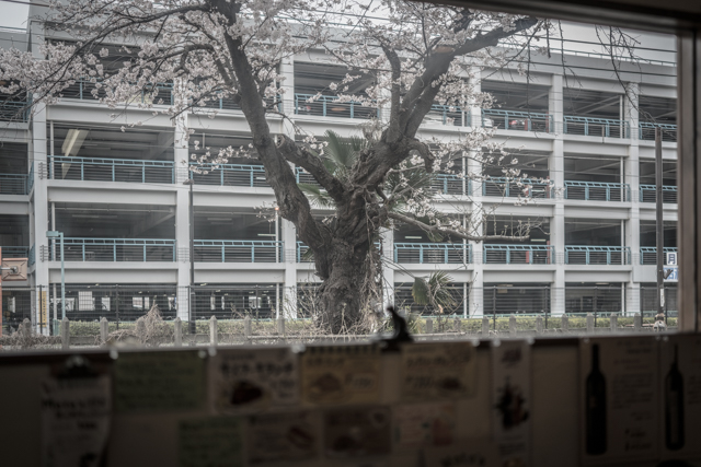 f:id:balance23:20190330193014j:plain
