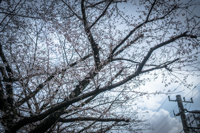 f:id:balance23:20190331150827j:plain