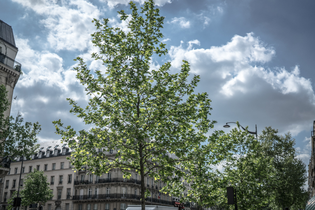 f:id:balance23:20190519063436j:plain