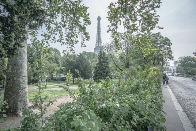 f:id:balance23:20190521163830j:plain