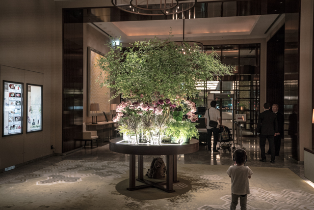 f:id:balance23:20190602063239j:plain
