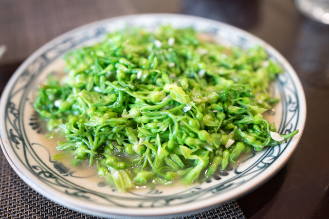 f:id:balance23:20190823072755j:plain