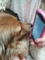f:id:balifresh:20130316114754j:image:medium