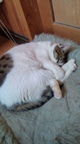 f:id:balifresh:20140419125704j:image:w360