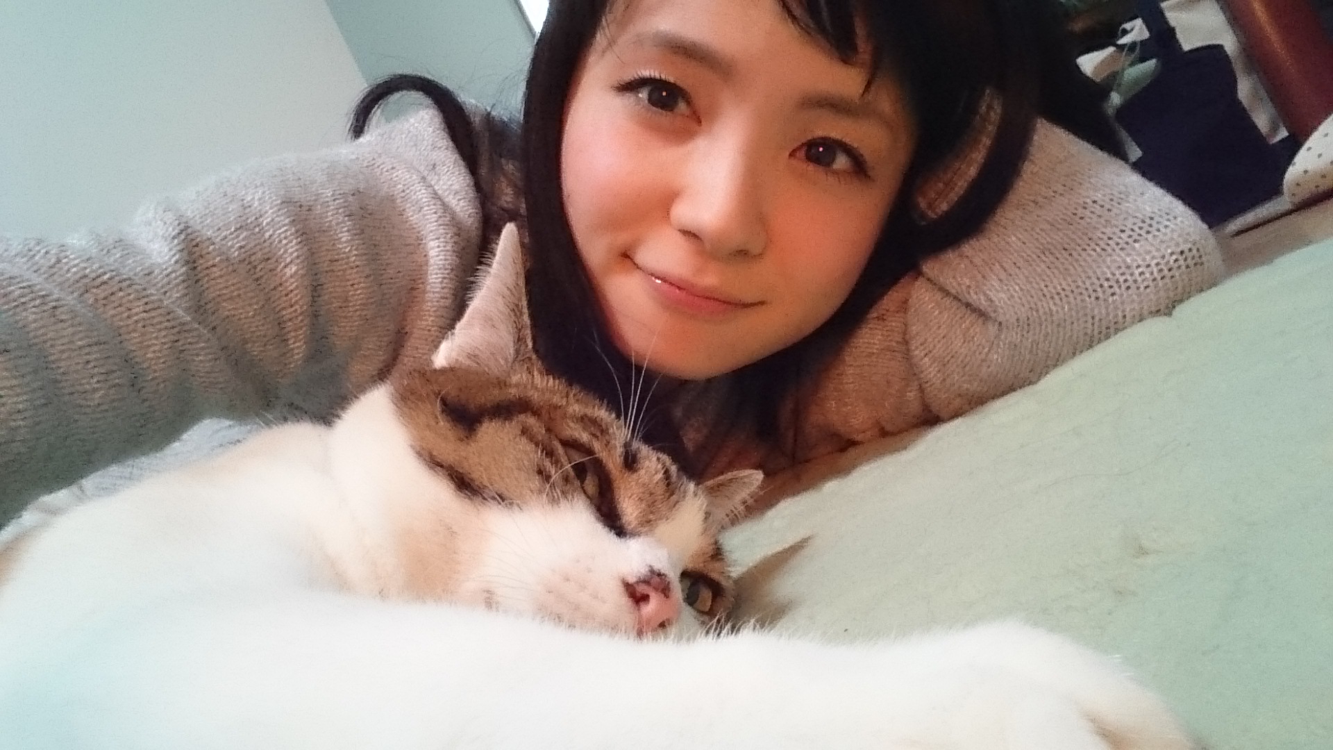 f:id:balifresh:20160101110735j:image