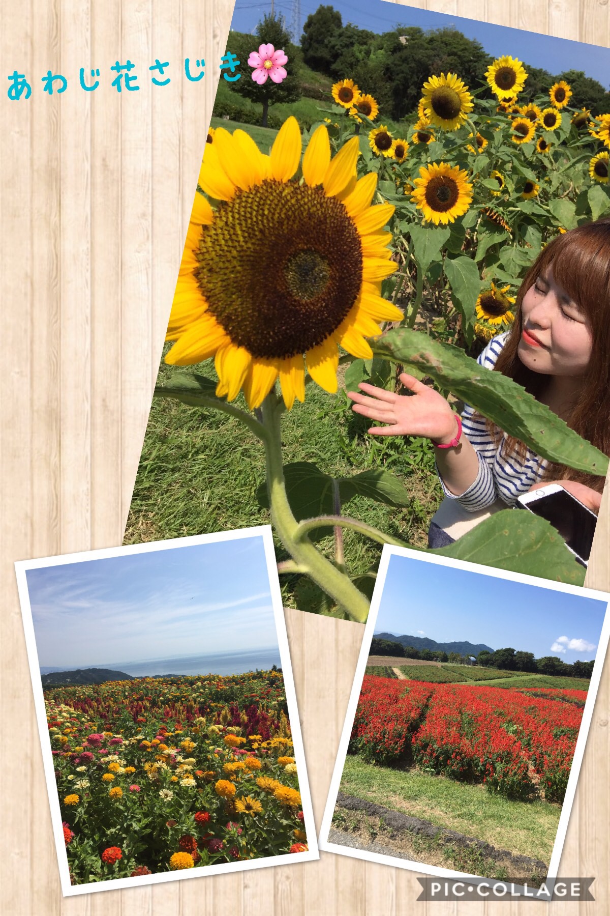 f:id:balifresh:20170904215941j:image