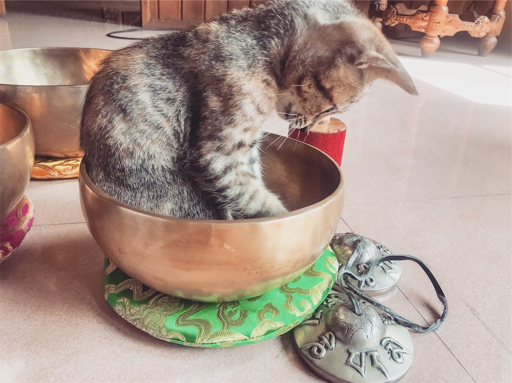 バリとシンギングボウル 自由気ままなウェルネスライフ in Bali