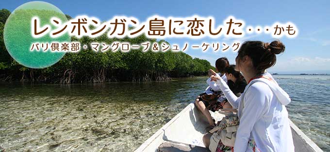 レンボンガン島マングローブ＆シュノーケリング