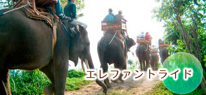 エレファントライド